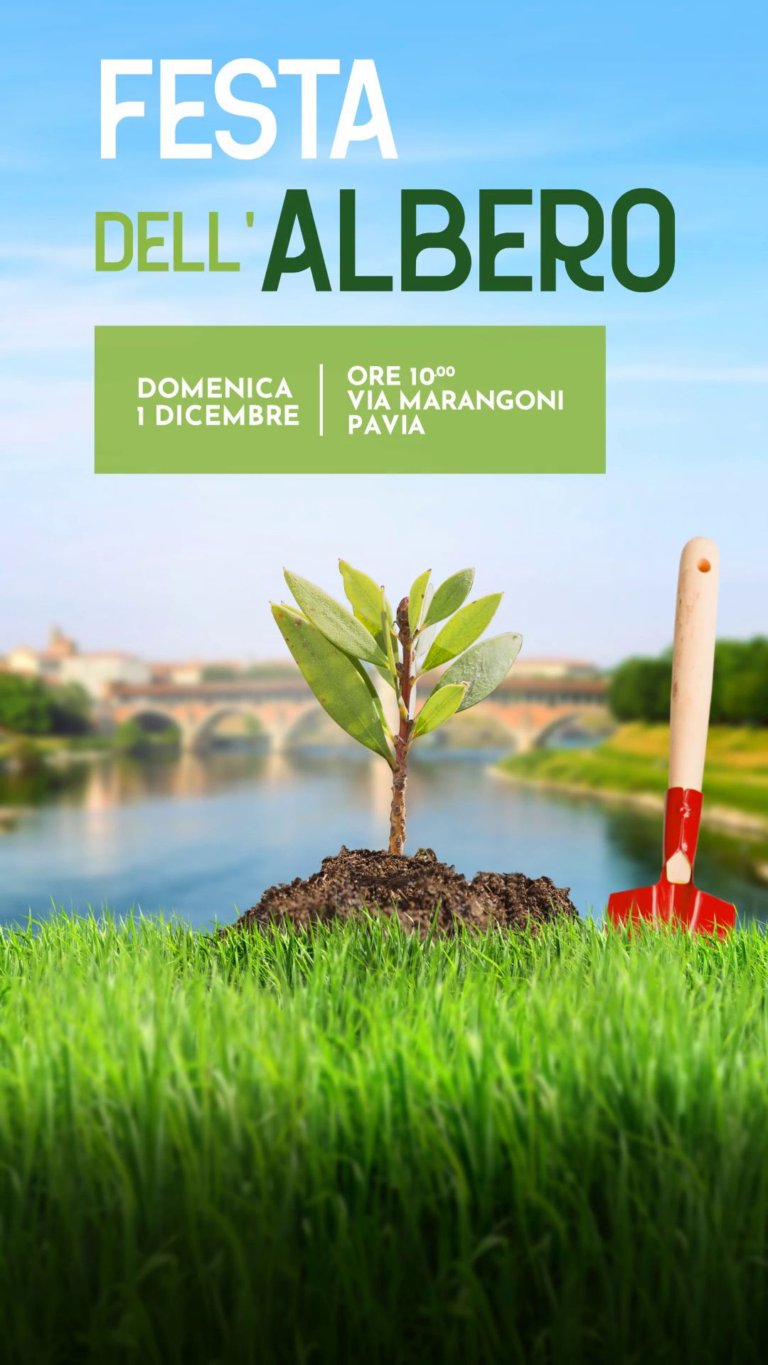 Un albero e una paletta rossa, con il Ponte Coperto di sfondo